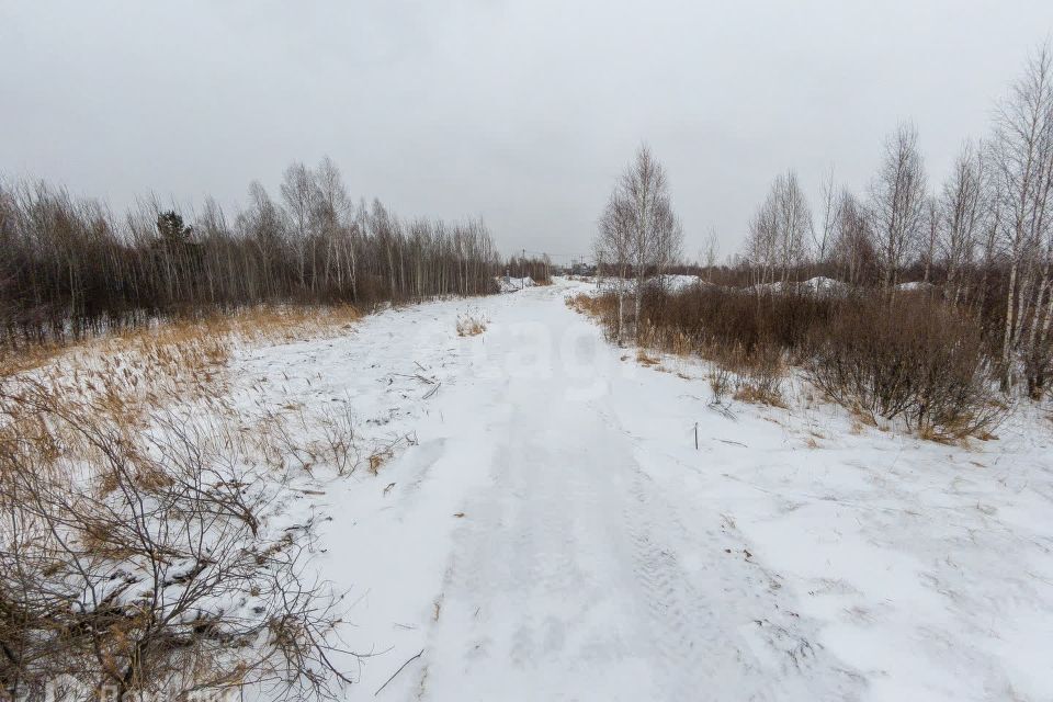 земля г Тюмень Тюмень городской округ, СНТ Березняки фото 6