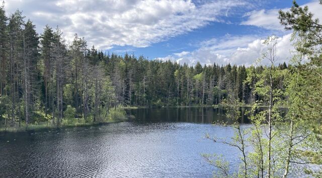 р-н Лахденпохский п Куркиеки ул Совхозная фото