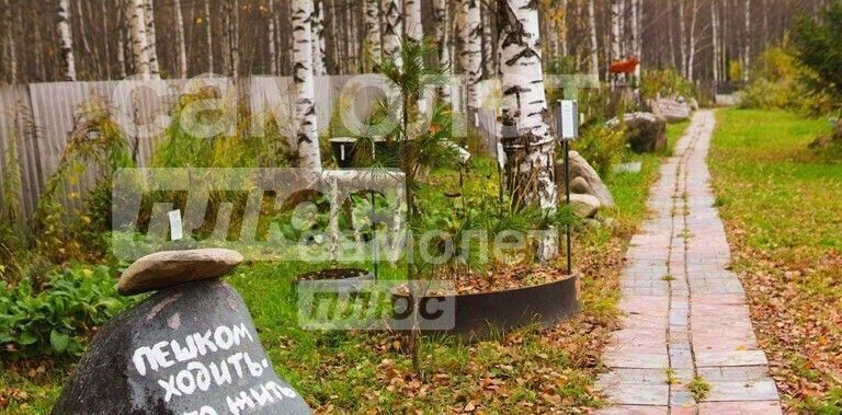 дом р-н Некрасовский д Алферово с пос, Некрасовское фото 4