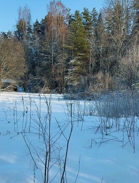 земля р-н Выборгский п Глубокое Каменногорское городское поселение фото 1