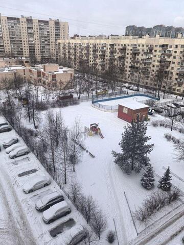 квартира дом 9 Ленинградская область фото