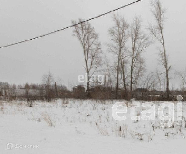 земля р-н Ишимский с Гагарино ул Зеленая фото 4