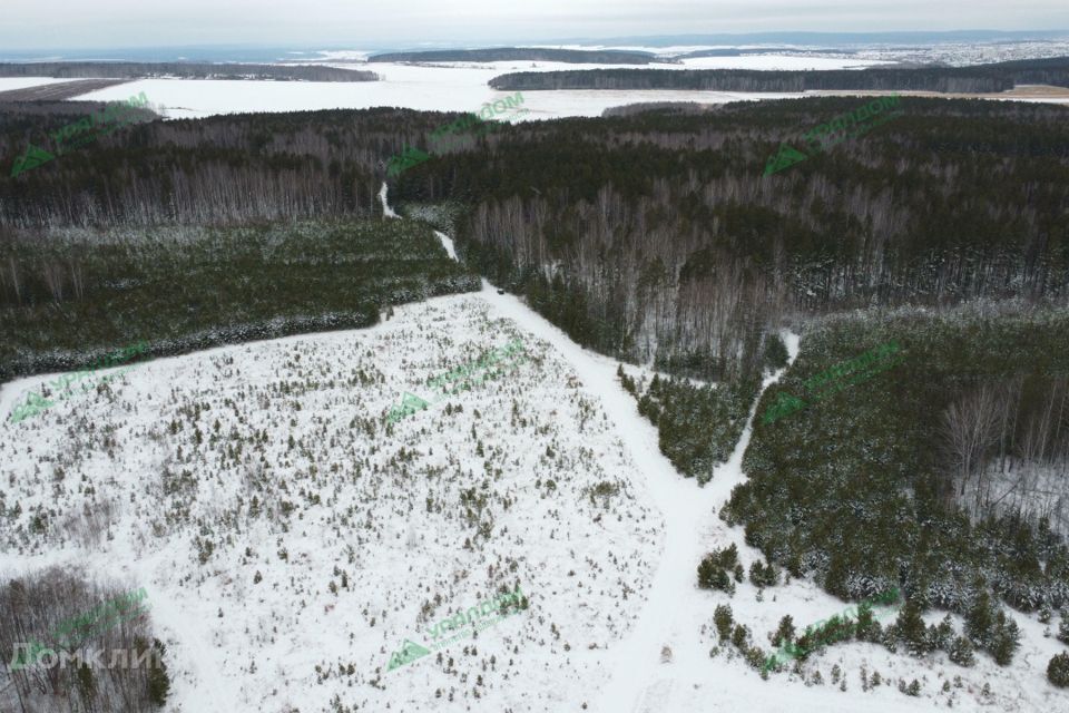 земля р-н Сысертский фото 3