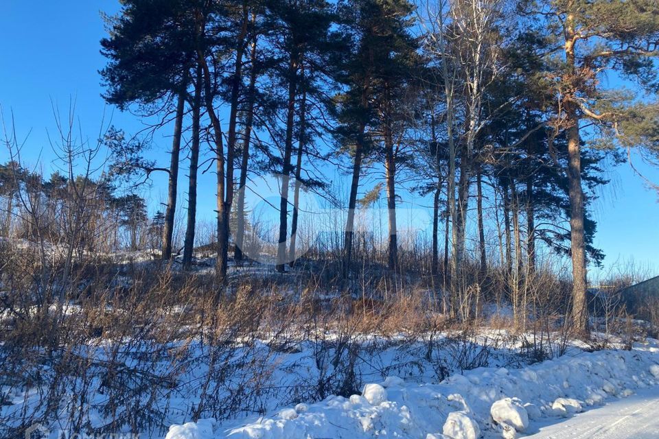 земля р-н Верхнеуслонский с. Набережные Моркваши фото 2