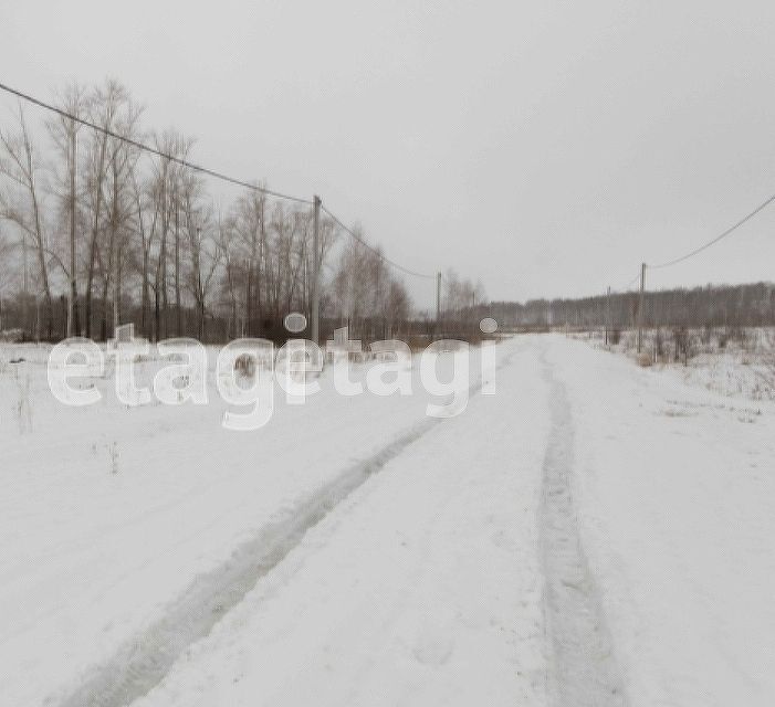 земля р-н Ишимский с Гагарино ул Зеленая фото 5