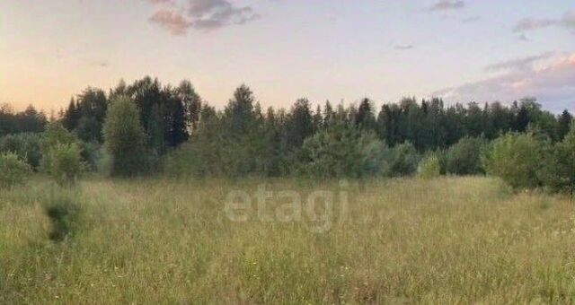 65А, Кстининское с пос фото