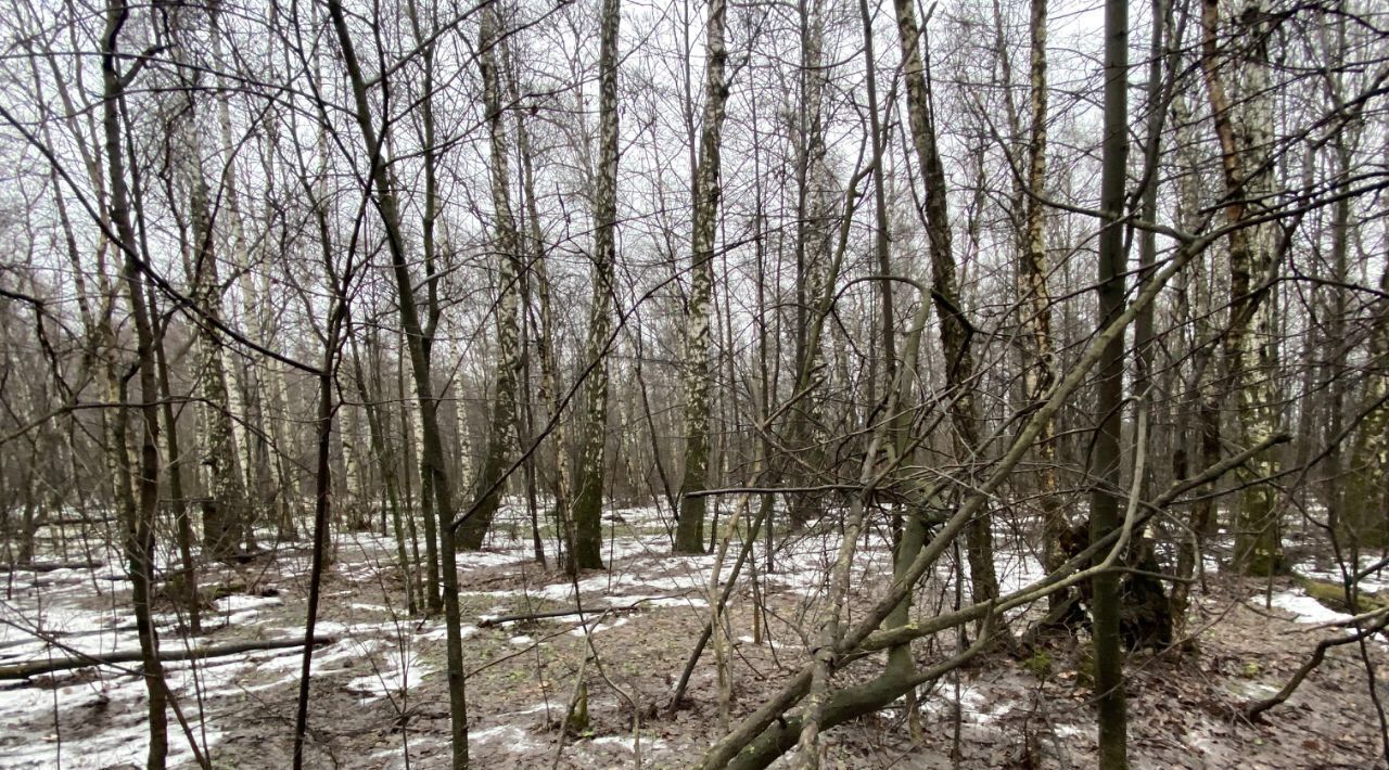 офис г Подольск мкр Львовский Львовский фото 3