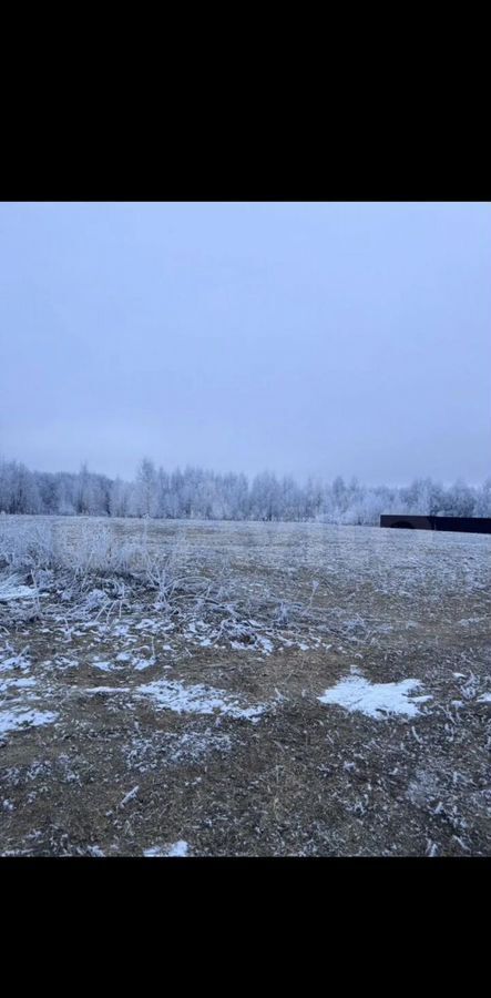 земля городской округ Сергиево-Посадский д Сырнево 64 км, Реммаш, Дмитровское шоссе фото 9