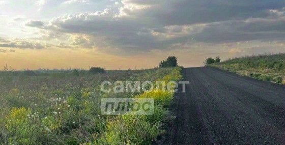 земля городской округ Раменский с Зеленая Слобода Домодедовская фото 11