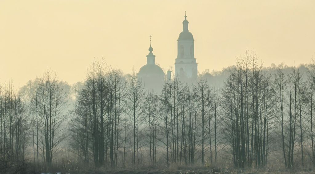 земля р-н Киржачский п Лисицыно ул Дубровка муниципальное образование, Филипповское фото 8