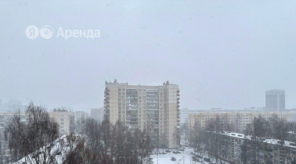 квартира г Санкт-Петербург метро Гражданский Проспект ул Ушинского 15к/3 фото 8