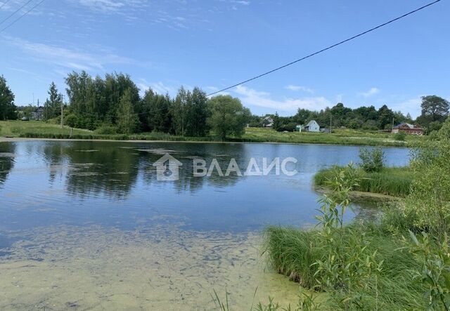 муниципальное образование Новоалександровское, Владимир фото