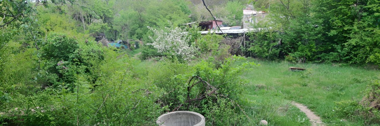 земля р-н Симферопольский с Мраморное с пос, садоводческое товарищество, Добровское фото 5