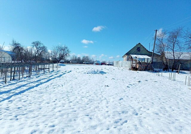 д Жестки Лычёвская волость, Великие Луки фото