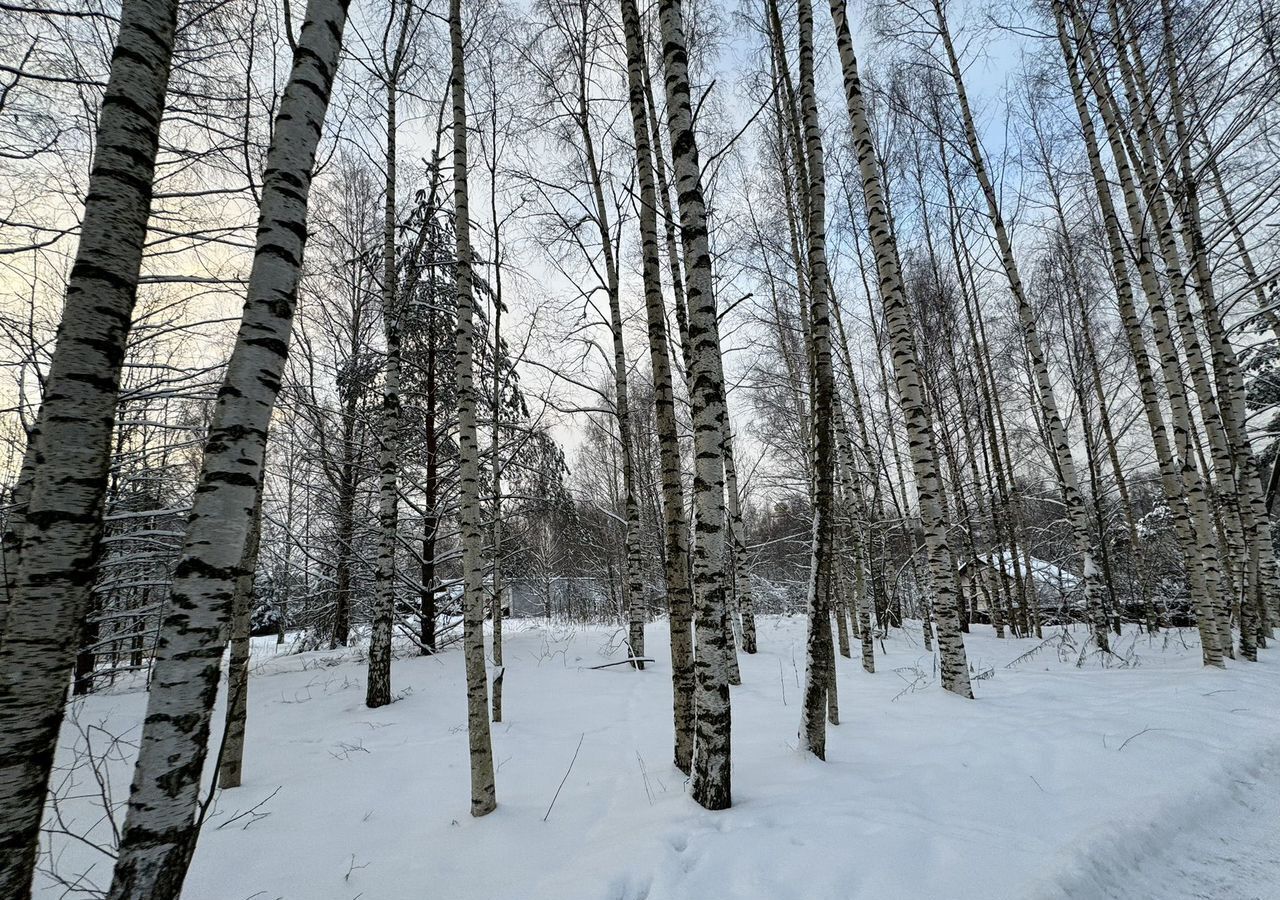 земля р-н Всеволожский п Воейково Мурманское шоссе, 9 км, Колтушское городское поселение, Славянская ул, Колтуши фото 2