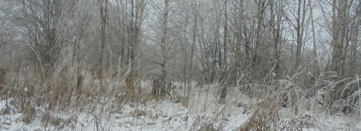 земля городской округ Дмитровский п Кузнецово фото 1