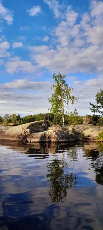 дом р-н Лахденпохский п Асилан 14Б, Куркиеки фото 30