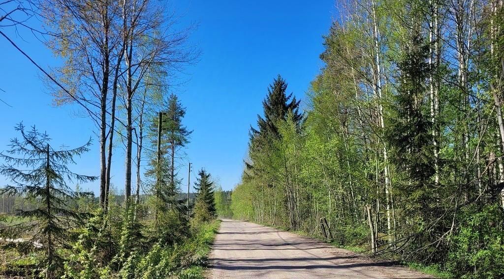 земля р-н Приозерский д Новожилово Сосновское с/пос, ул. Солнечная фото 12