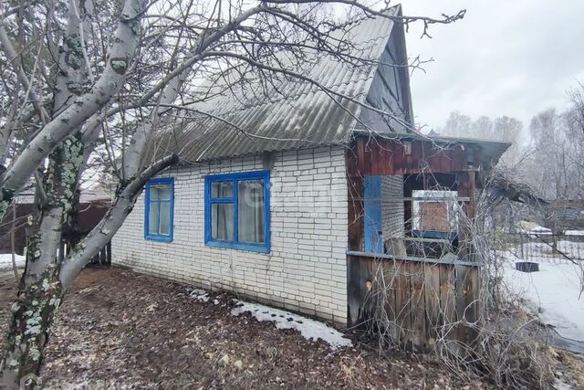 снт терНаука Курган городской округ, 324 фото