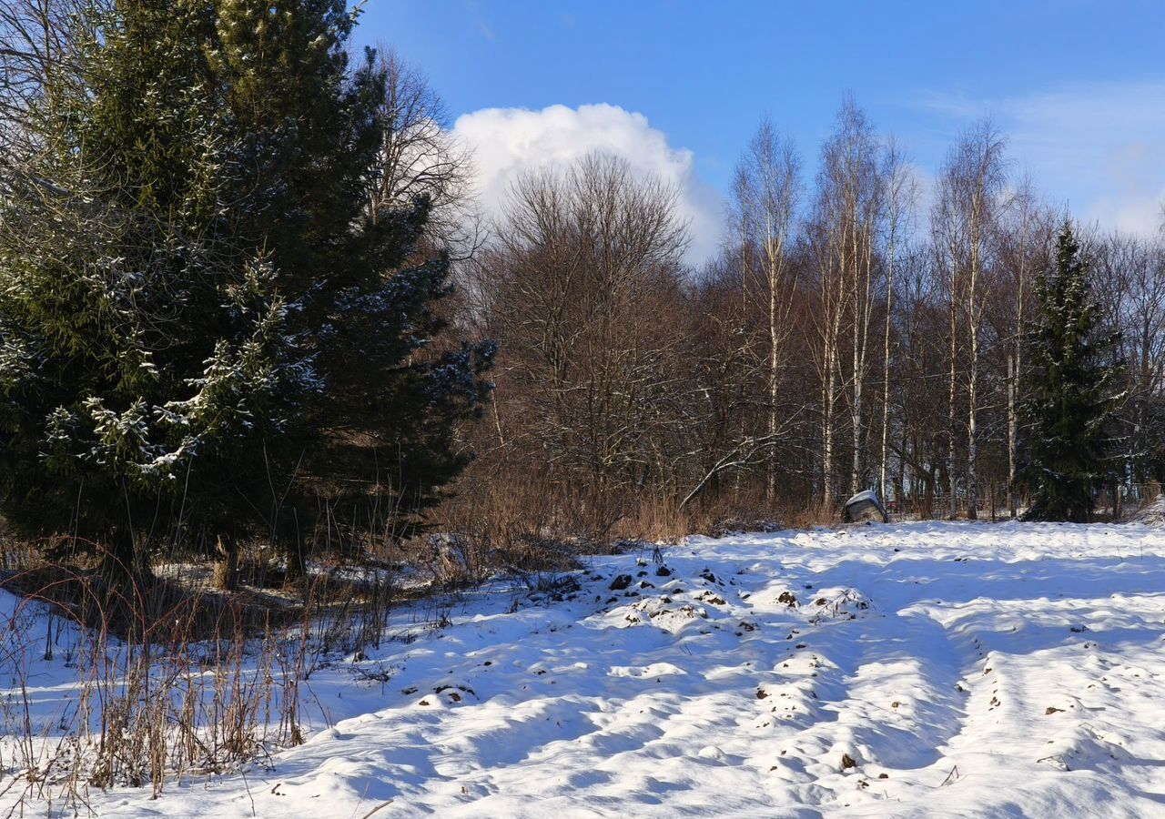 земля городской округ Сергиево-Посадский с Дерюзино 9783 км, Сергиев Посад, Ярославское шоссе фото 2