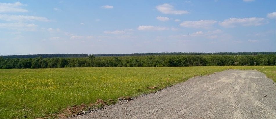 земля направление Рижское (северо-запад) ш Новорижское 122 км, коттеджный пос. Жирафы, Шаховская фото 1