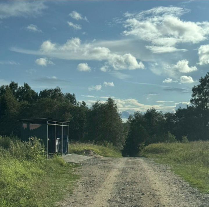 земля городской округ Можайский Глядково, 57Б, Рогачево фото 4