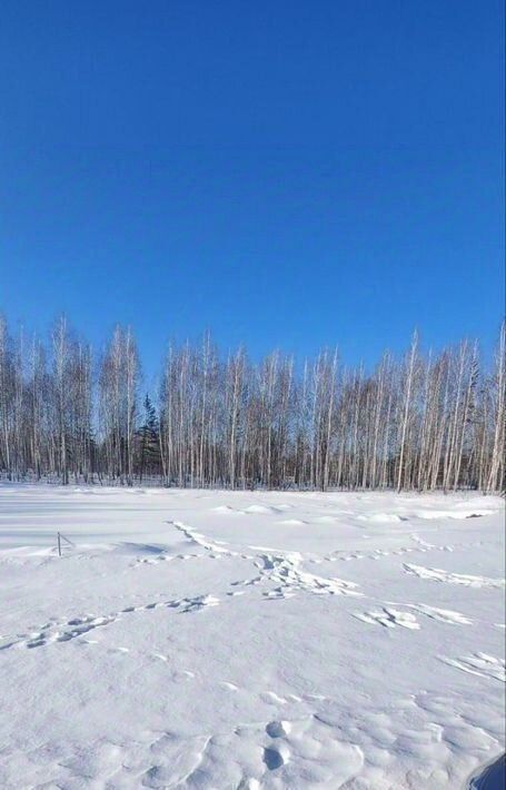 земля р-н Сосновский Кременкульское с/пос, Жилая застройка СИЖ тер фото 1