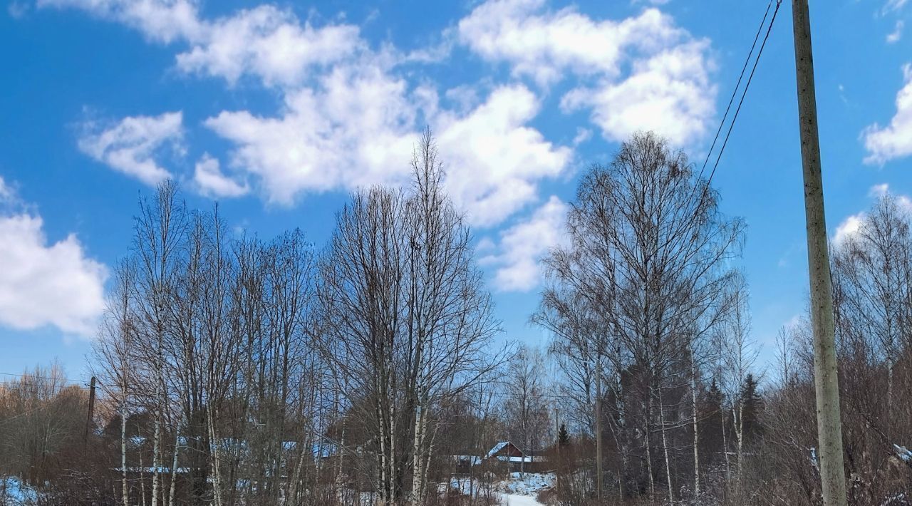 земля р-н Выборгский п Красный Холм Каменногорское городское поселение фото 3