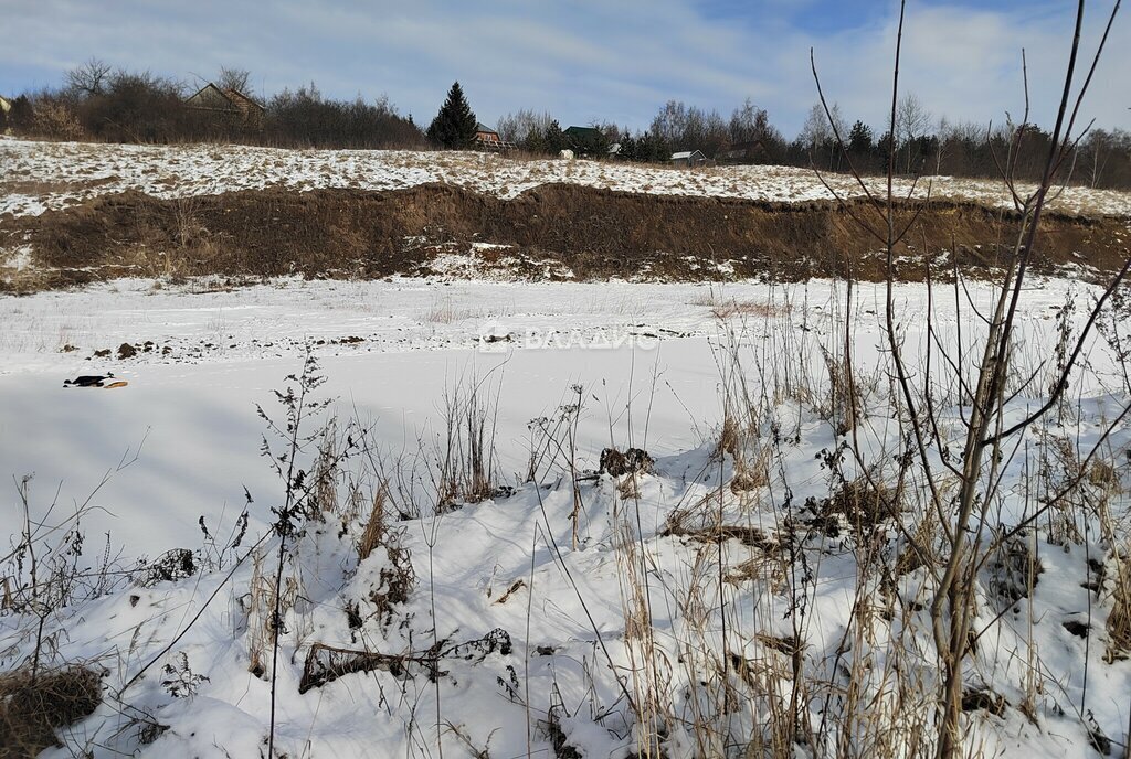 земля городской округ Раменский с Давыдово фото 3