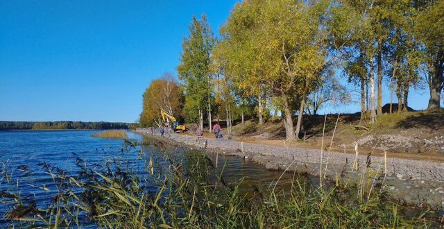 п Ромашки Трасса Сортавала, 72 км, Ромашкинское сельское поселение, Саперное фото