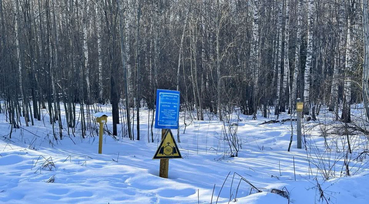 земля р-н Костромской снт Машиностроитель Самсоновское с/пос, 50 фото 3