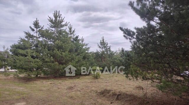 ул Волозинская 17 р-н Октябрьский фото