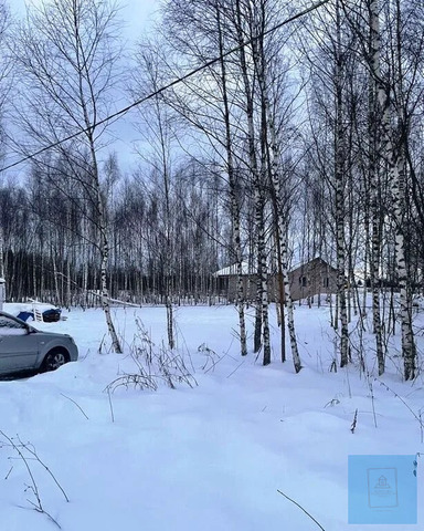 земля квартал Голубково, Ленинградское фото