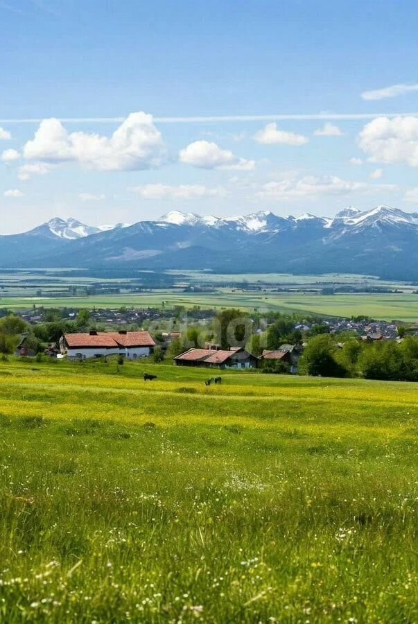 земля р-н Смоленский с Черновая ул Заречная Белокуриха фото 4