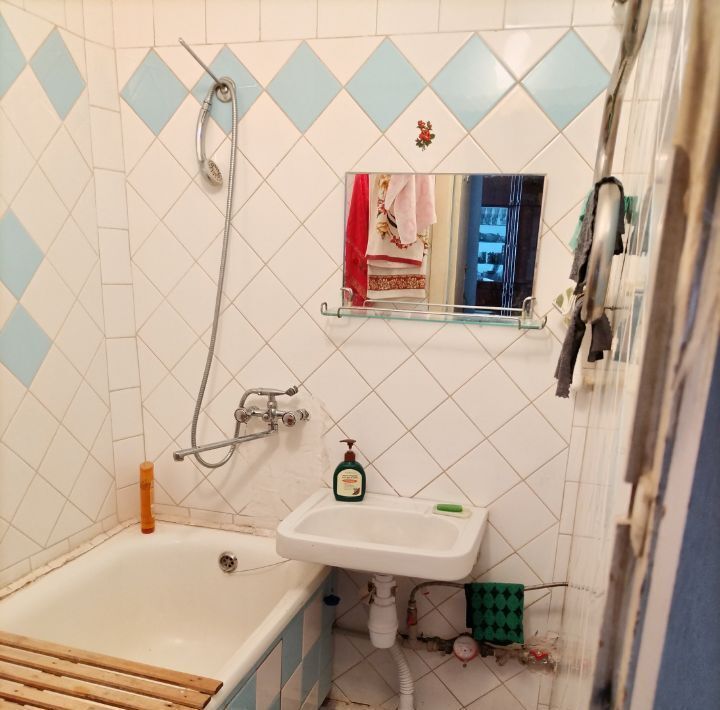 квартира г Нижний Новгород Парк культуры ул Героя Советского Союза Прыгунова 17 фото 8