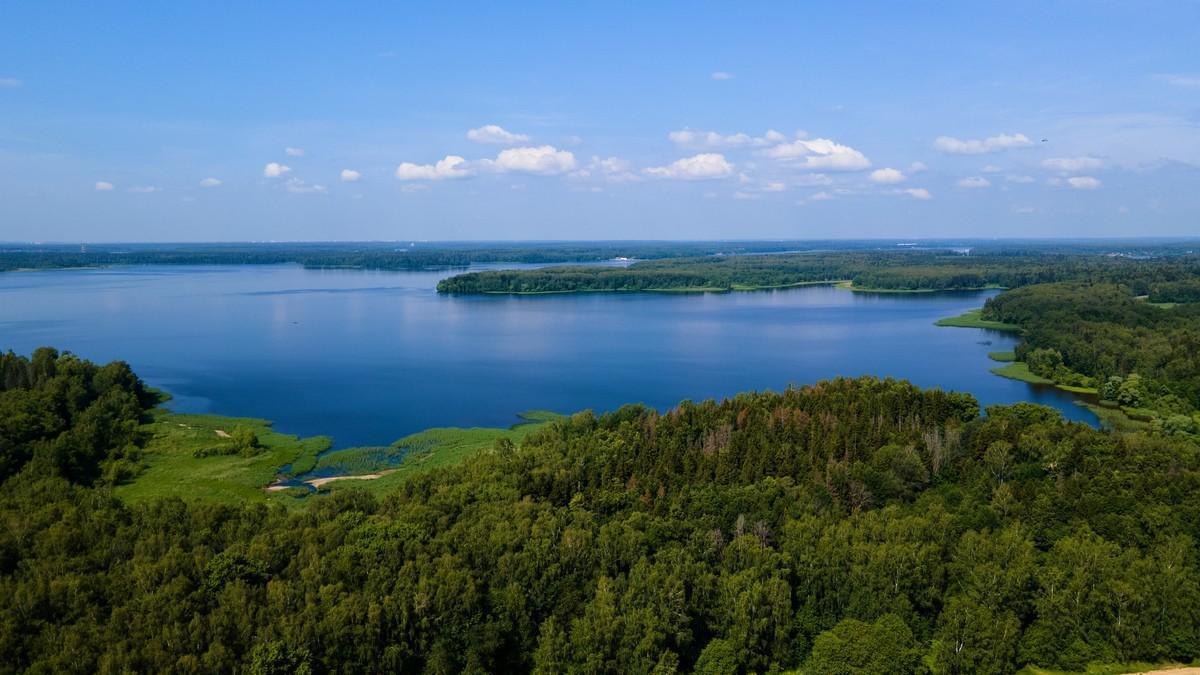 земля городской округ Пушкинский Пушкино, Куровская улица фото 1