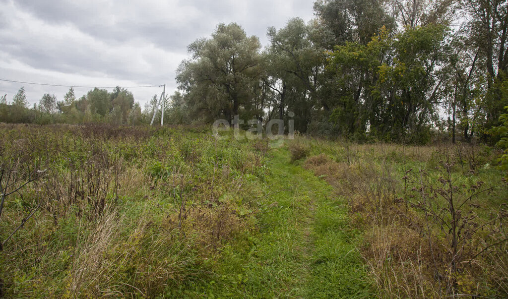 земля р-н Новосибирский п Приобский сельсовет, Кудряшовский, Площадь Гарина-Михайловского фото 4