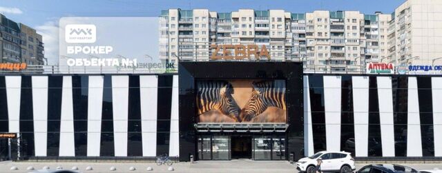 метро Ладожская пр-кт Косыгина 30к/1 фото