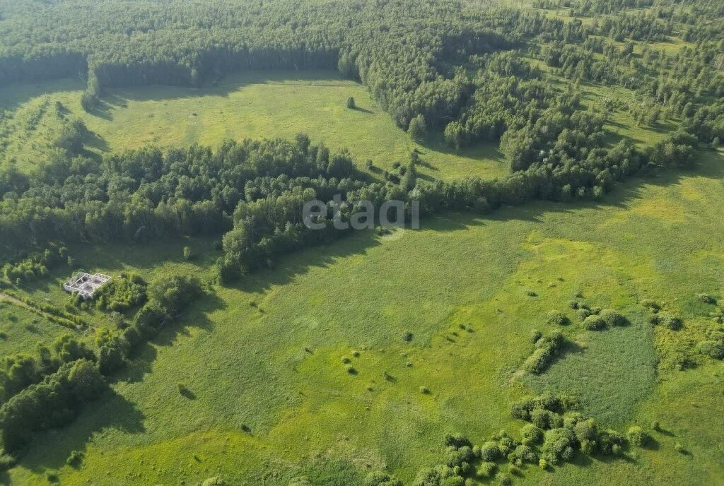 земля р-н Богородский д Касаниха фото 1