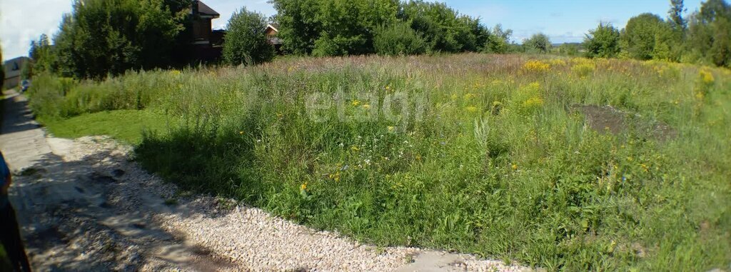 земля р-н Богородский с Афанасьево ул Черкасский Порядок фото 1