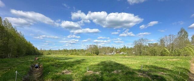 Маловишерское городское поселение, д. Некрасово фото