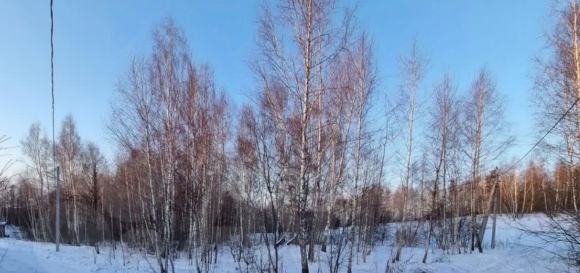 земля г Калуга д Желыбино фото 2