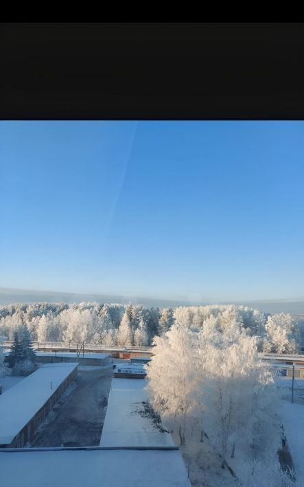 квартира г Сыктывкар пр-кт Бумажников 26 фото 13