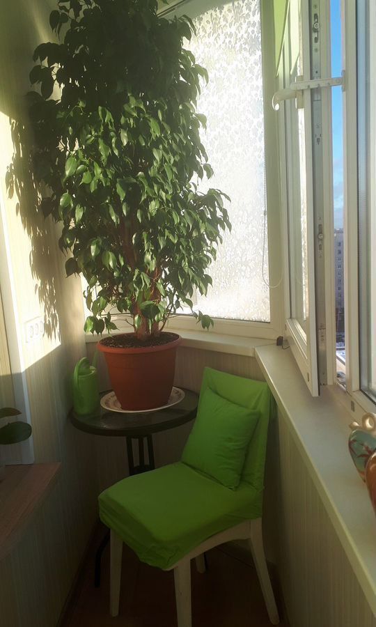 квартира г Санкт-Петербург ул Савушкина 115к/3 Старая деревня фото 19
