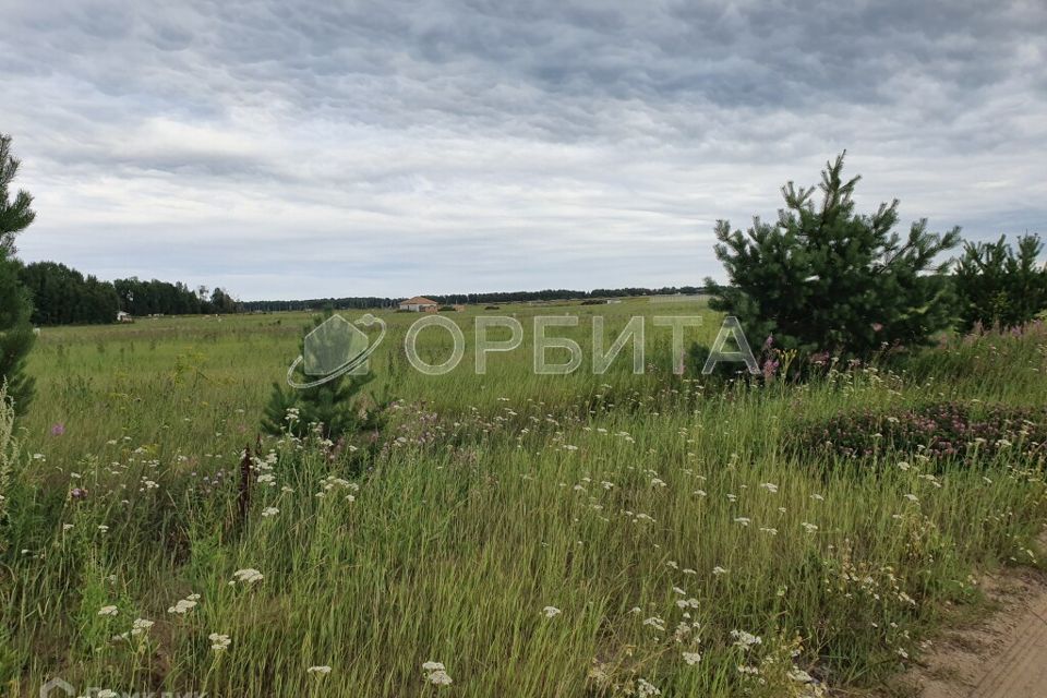 земля г Тюмень Тюмень городской округ, ДНТ Берёзка-3 фото 2