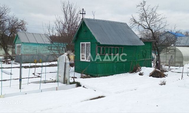 снт N 4 ЗиД Ковров городской округ, 222 фото