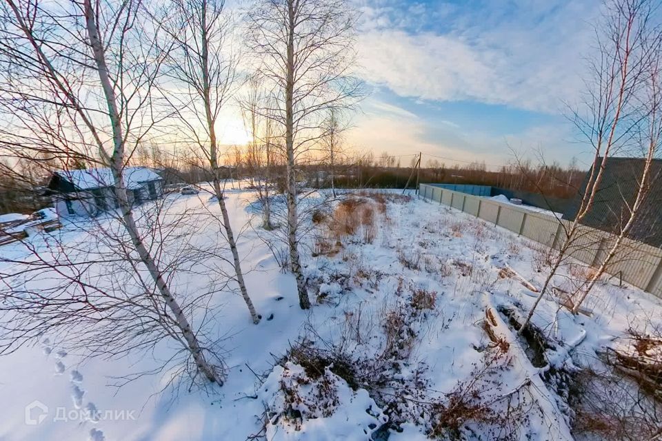 земля г Тюмень днт Березка-3 Тюмень городской округ, 26-я Берёзка-3 с/о фото 4