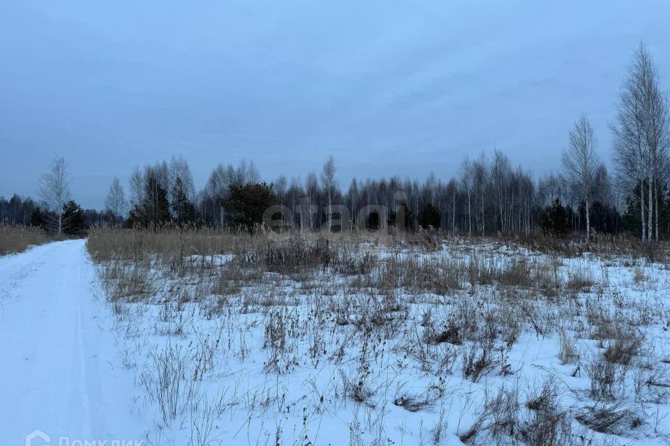 земля р-н Нижнетавдинский с Бухтал ул Садовая фото 3