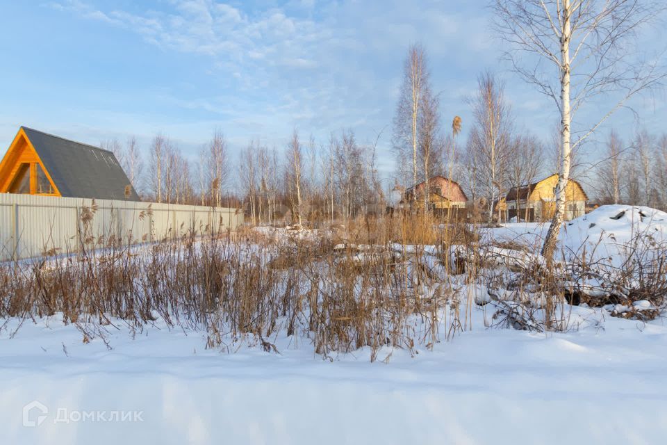 земля г Тюмень днт Березка-3 Тюмень городской округ, 26-я Берёзка-3 с/о фото 6