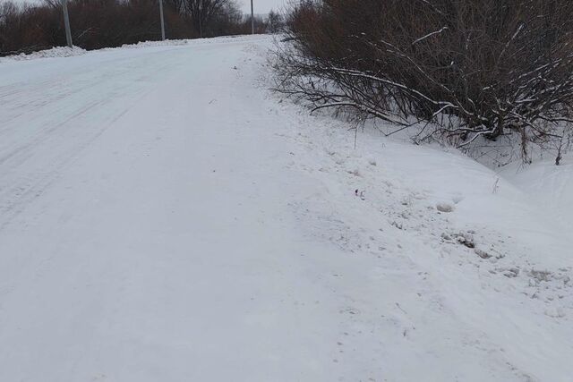 земля Йошкар-Ола городской округ, деревня Шоя-Кузнецово, 16 фото